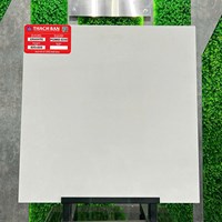 Gạch lát nền Thạch Bàn 60x60 mờ PGM60-0240