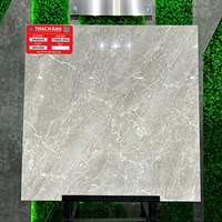 Gạch lát nền Thạch Bàn 60x60 TGB60-0042