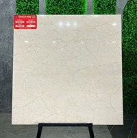 Gạch lát nền Thạch Bàn 80x80 TGB80-0853