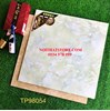 Gạch lát nền Trung Quốc 80x80 TP98054