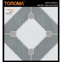 Gạch lát nền TTP 30x30 T30177