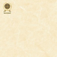 Gạch lát nền Vicenza 60x60 VC 6603C