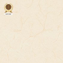 Gạch lát nền Vicenza 80x80 8607