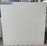 Gạch lát nền Việt Ý 60x60 mờ M66001