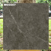 Gạch lát nền Việt Ý 60x60 mờ M66007