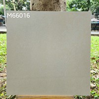 Gạch lát nền Việt Ý 60x60 mờ M66016