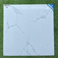 Gạch lát nền Viglacera 600x600 TB6810