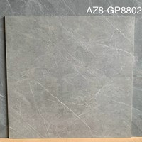 Gạch lát nền Viglacera 80x80 AZ8-GP8802