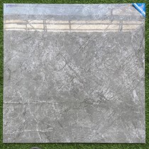 Gạch lát nền Viglacera 80x80 GP8802