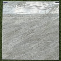 Gạch lát nền Viglacera 80x80 TB8992