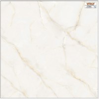 Gạch lát nền Vitaly 60x60 VP6667