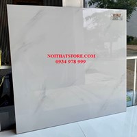 Gạch lát nền Vitaly 60x60 VP6672
