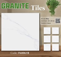 Gạch lát nền Ý Mỹ 60x60 bóng F68061R