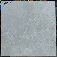 Gạch lát nền Ý Mỹ 60x60 mờ P65101R