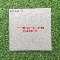 Gạch lát sân vườn 40x40 CTG4606-CP