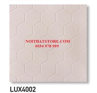 Gạch lát sân vườn 40x40 LUX4002
