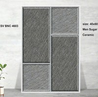 Gạch lát sân vườn 40x60 BNC4603