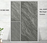 Gạch lát sân vườn 40x60 BNC4605