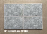 Gạch lát sân vườn 40x60 TTT 64601