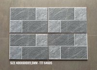 Gạch lát sân vườn 40x60 TTT 64605