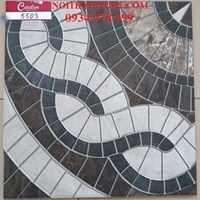 Gạch lát sân vườn 50x50 5503