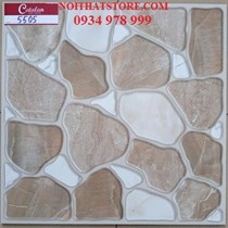 Gạch lát sân vườn 50x50 5505