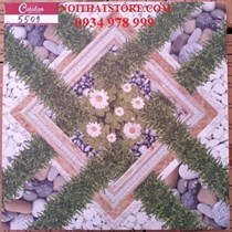 Gạch lát sân vườn 50x50 5509