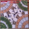 Gạch lát sân vườn 50x50 5511