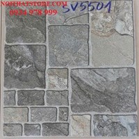Gạch lát sân vườn 50x50 SV5501