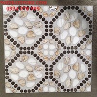 Gạch lát sân vườn 50x50 SVK53