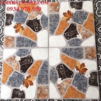Gạch lát sân vườn 50x50 