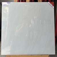 Gạch lọc khí Prime 60x60 NY66890