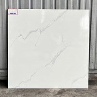 Gạch men giá rẻ Ý Mỹ 60x60 F6002YM