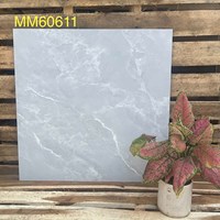 Gạch men mờ giá rẻ 60x60 MM60611