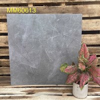 Gạch men mờ giá rẻ 60x60 MM60613