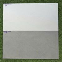 Gạch mờ ốp tường Royal Hoàng Gia 30x60 US3618-3619