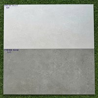 Gạch mờ ốp tường Royal Hoàng Gia 30x60 US3625-3626