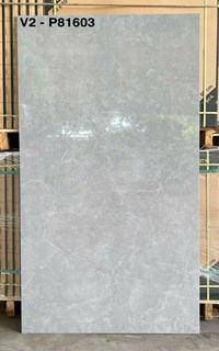 Gạch ốp lát 80x160 Viglacera V2-P81603