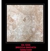 Gạch ốp lát Ấn Độ 120x120 VA-1204