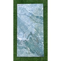Gạch ốp lát Ấn Độ 60x120 APK1226