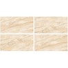 Gạch ốp lát Ấn Độ 60x120 VA-6210