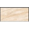 Gạch ốp lát Ấn Độ 60x120 VA-6210