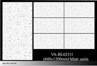 Gạch ốp lát Ấn Độ 60x120 VA-BL62111