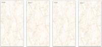 Gạch ốp lát Ấn Độ 60x120 VA-SM02