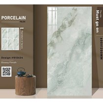 Gạch ốp lát Ấn Độ 60x120 VG12624