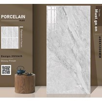 Gạch ốp lát Ấn Độ 60x120 VG12625