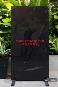 Gạch ốp lát Ấn Độ 80x160 đen vân đá trắng