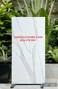 Gạch ốp lát Ấn Độ 80x160 trắng vân khói