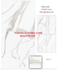 Gạch ốp lát Ấn Độ 80x160 VA-BL816.18