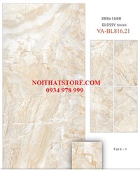 Gạch ốp lát Ấn Độ 80x160 VA-BL816.21